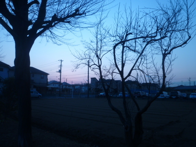 画像 033.jpg