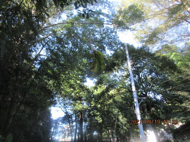 IMG_0003.JPG