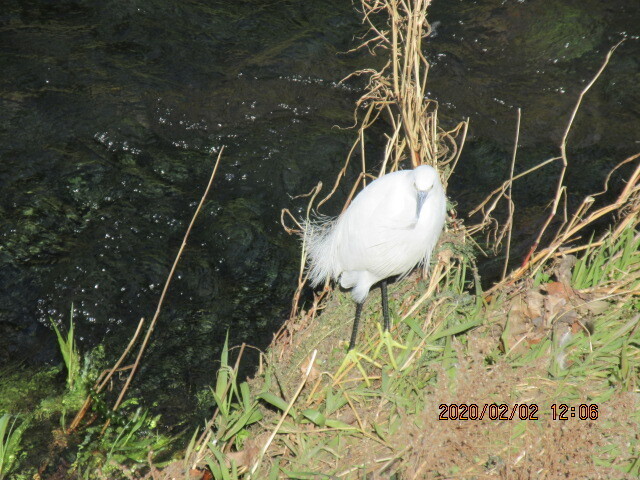 IMG_0004.JPG