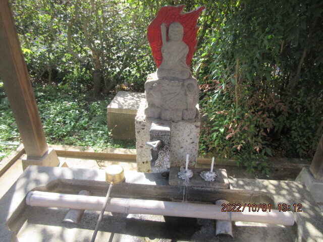 IMG_0005.JPG
