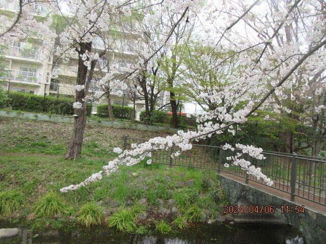 IMG_0007.JPG