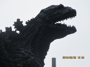 IMG_0013.JPG