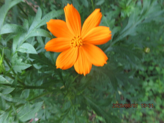 IMG_0015.JPG