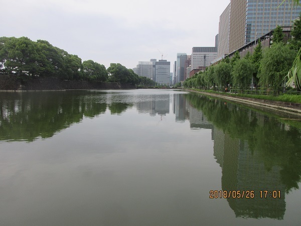 IMG_0080.JPG
