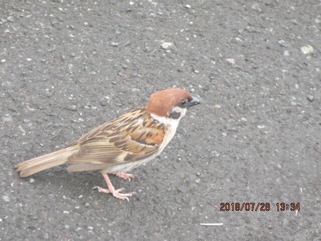 IMG_0094.JPG