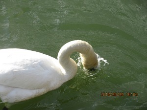 IMG_0186.JPG