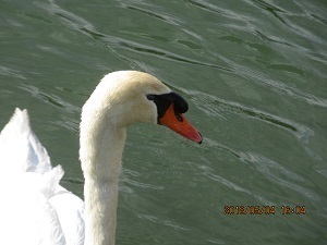 IMG_0192.JPG