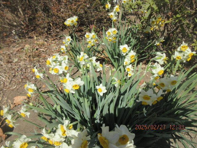 IMG_0003.JPG