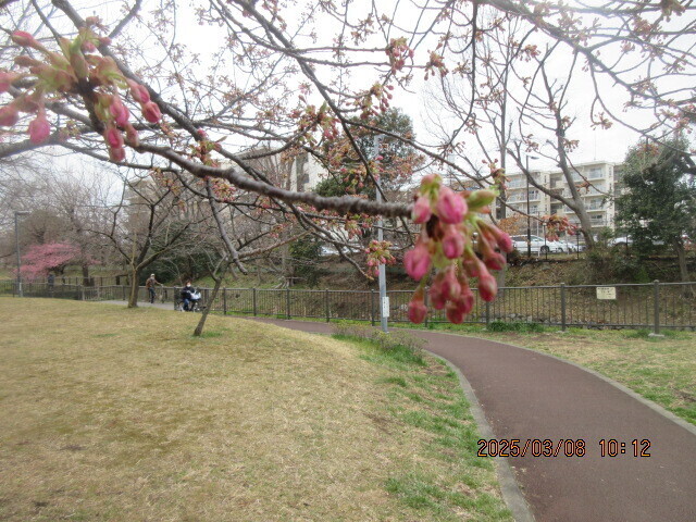 IMG_0014.JPG