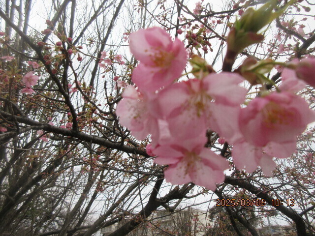 IMG_0017.JPG