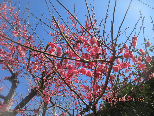 IMG_0017.JPG